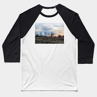 Ontario Marsh No.4 Baseball T-Shirt